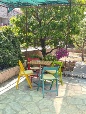 Apartment Sani